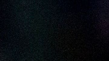 Javier "Chicharito" Hernández