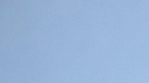 Jennifer Aniston disfruta el confinamiento con sus dos perros