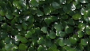 Kris Jenner y Kim Kardashian.