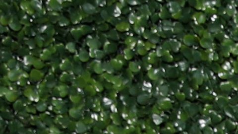 Kris Jenner y Kim Kardashian.