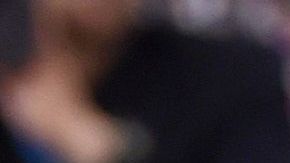 Lady Gaga es admiradora de la raza de perros bulldog inglés