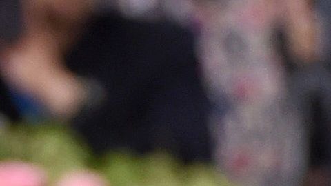 Lady Gaga es admiradora de la raza de perros bulldog inglés