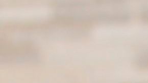 Durante sus diferentes recorridos la alcaldesa de Chicago Lori Lightfoot promocionó su liderazgo durante la pandemia de covid-19.