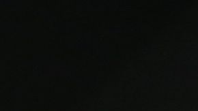 Lyman Good, luchador de la UFC.