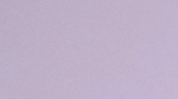 Marco Antonio Regil es amante de los animales.