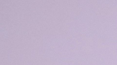 Marco Antonio Regil es amante de los animales.