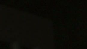 Maribel Guardia tiene 8 perros que cuida como si fueran sus hijos.