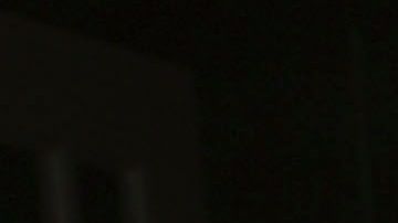 Maribel Guardia tiene 8 perros que cuida como si fueran sus hijos.