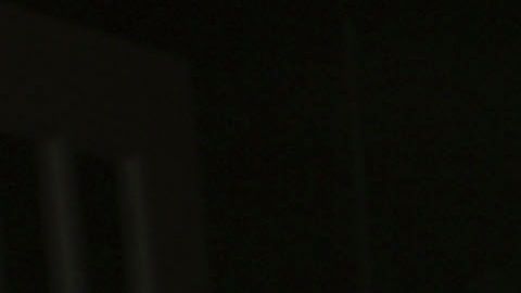 Maribel Guardia tiene 8 perros que cuida como si fueran sus hijos.