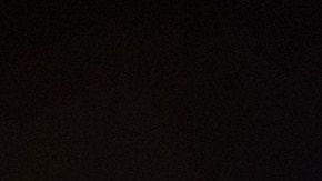 Lionel Messi educó muy bien a su mascota, quien convive con su pequeño hijo.