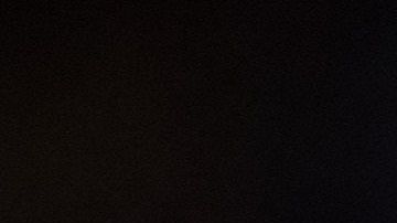 Lionel Messi educó muy bien a su mascota, quien convive con su pequeño hijo.