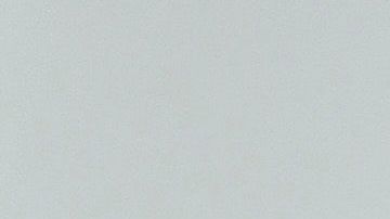 Miley Cyrus ama a los caninos.