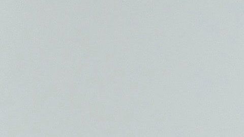 Miley Cyrus ama a los caninos.