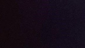 Una mujer sacó a pasear a su tortuga en Italia.