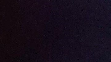 Una mujer sacó a pasear a su tortuga en Italia.