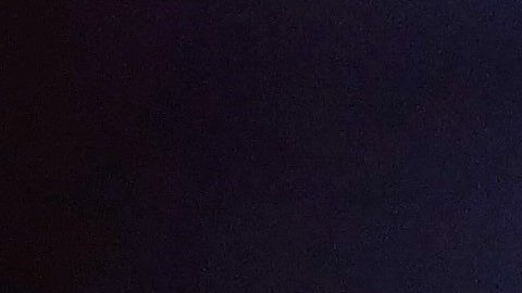 Una mujer sacó a pasear a su tortuga en Italia.