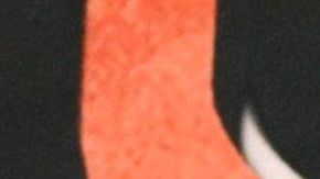 Mauricio Ochmann y Aislinn Derbez.