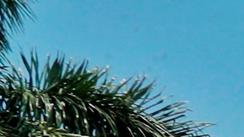 -FOTODELDIA- HAB01 LA HABANA (CUBA) 12/04/2020.- Médicos y enfermeros, miembros del Contingente de Médicos Especializados en Situaciones de Desastre y Graves Epidemias Henry Reeve, participan en un acto antes de partir para la región italiana de Piomonte este domingo, en La Habana (Cuba). Cuba despidió este domingo a una brigada de 38 médicos y enfermeros que se dirigen a Piamonte, en el norte de Italia, para ayudar en la lucha contra el coronavirus en esa región fuertemente afectada por la pandemia. EFE/Ernesto Mastrascusa