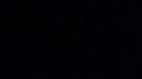 Nick Jonas juega con su perro Gino Jonas durante el confinamiento.