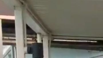 El personal médico se emocionó por el agradecimiento.