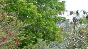 Campamento en Matamores tiene unos Un campamento de 2,500 migrantes.