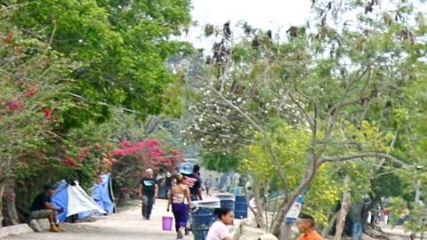 Campamento en Matamores tiene unos Un campamento de 2,500 migrantes.