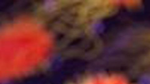 El primer prototipo debería estar listo a finales del próximo año.