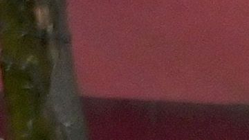 Un estudio adelantado por la Gobernación sugiere que 25% de habitantes de NYC se habría infectado con coronavirus.