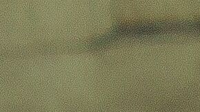 La agresividad en los perros debe evitarse con la educación desde que son cachorros.