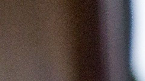 Foto: naniwa23/Pixabay. Los caninos suelen rascarse por estrés o ansiedad.