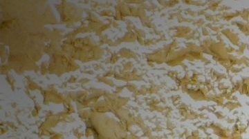 Los perros son una excelente compañía para los ancianos por múltiples razones.