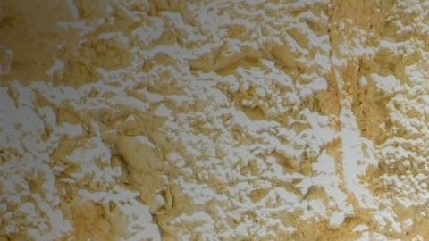 Los perros son una excelente compañía para los ancianos por múltiples razones.