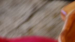 Pastel-tarta-lasagna-RitaE en Pixabay