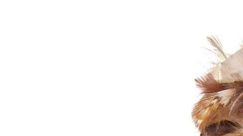 Un plumero es, por sí mismo, uno de los mayores errores en la limpieza de muchos hogares.