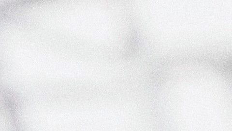 Tienes que resolver todas tus dudas cuando buscas un alquiler por Internet.