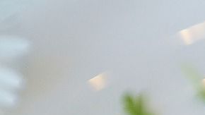 Rábanos-RitaE en Pixabay