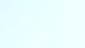 Sebastián Rulli está de luto por el fallecimiento de su perro adoptado Gaucho.