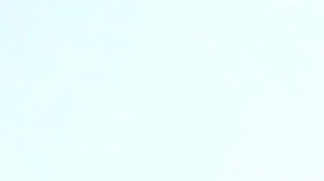 Sebastián Rulli está de luto por el fallecimiento de su perro adoptado Gaucho.