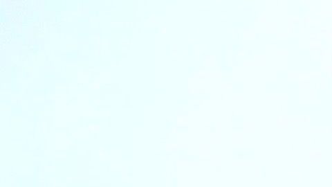 Sebastián Rulli está de luto por el fallecimiento de su perro adoptado Gaucho.