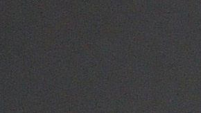 Thalía ama a sus dos perros.