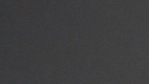 Thalía ama a sus dos perros.