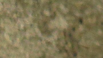 Conocer las diferentes alternativas de alimentación permite escoger la mejor para nuestro can.