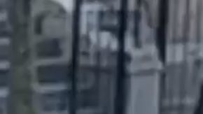 Los hechos fueron recientemente revelados por el NYPD.