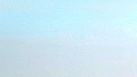 Asegura que la clave "consiste en tener la información correcta.