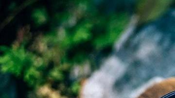 Té matcha-NipananLifestyle.com en Pexels