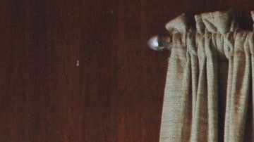 Cambia tu vista habitual por una más natural y extraordinaria con Airbnb.