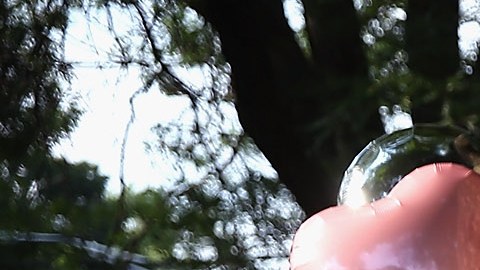 Un joven se duele junto a la ofrenda a una víctima de la violencia con armas de fuego en Chicago.