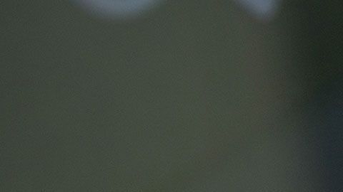 La plataforma más usada para reproducir videos cumplió 15 años.