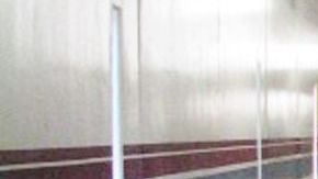 A los presos que fueron liberados les quedaban 30 días o menos para cumplir su condena.