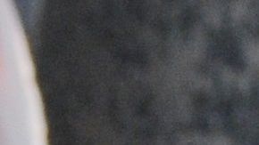 Por primera vez en su vida, esta vendedora de palmillas santas no saldrá este Domingo de Ramos a las iglesias de Arizona.